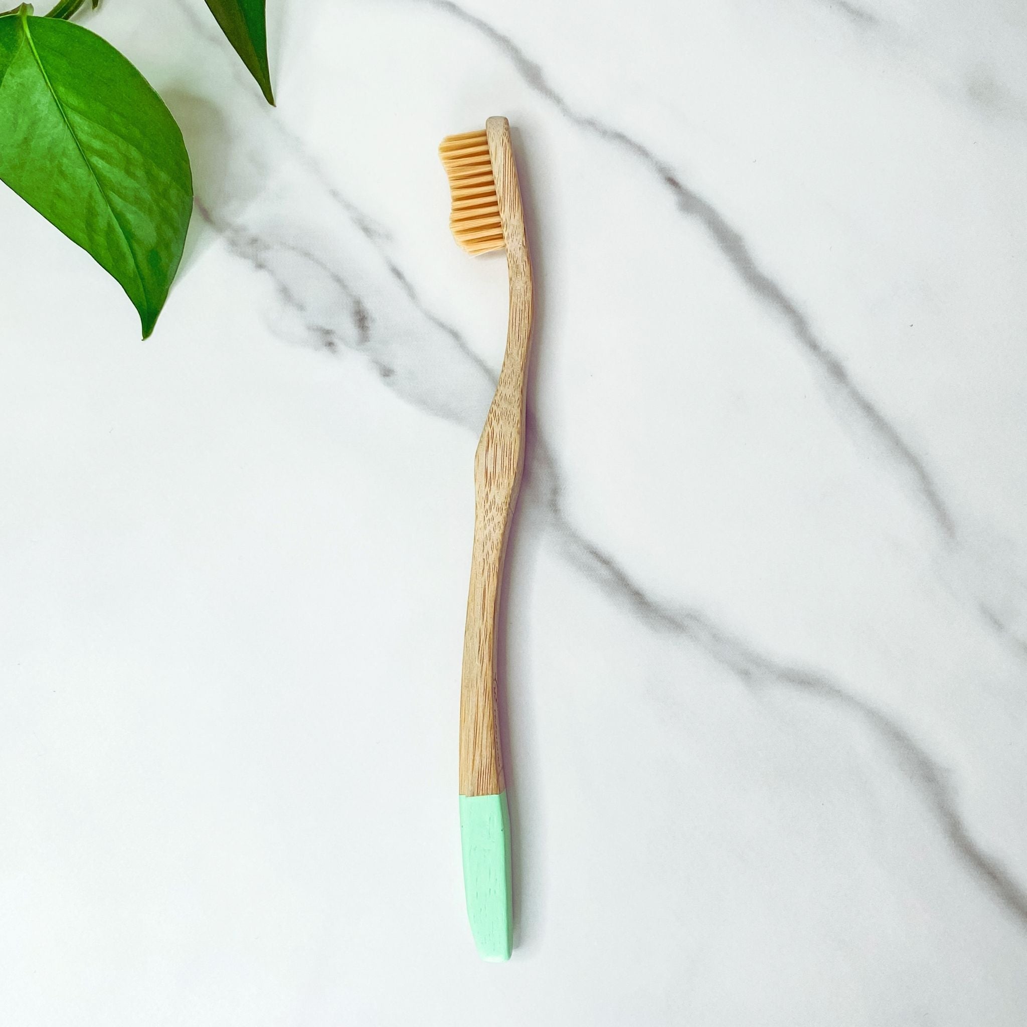 Biodegradable Bamboo Toothbrush | Zero-Waste Store